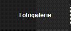 Fotogalerie